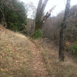 saratoga hike