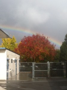 cms rainbow