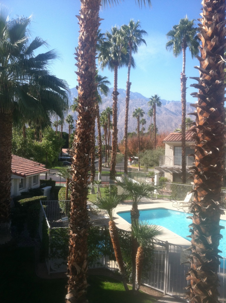 View from the condo#alwayssummer