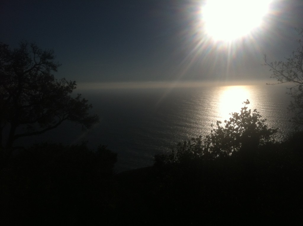 View from Nepanthe - absolutely breathtaking. 