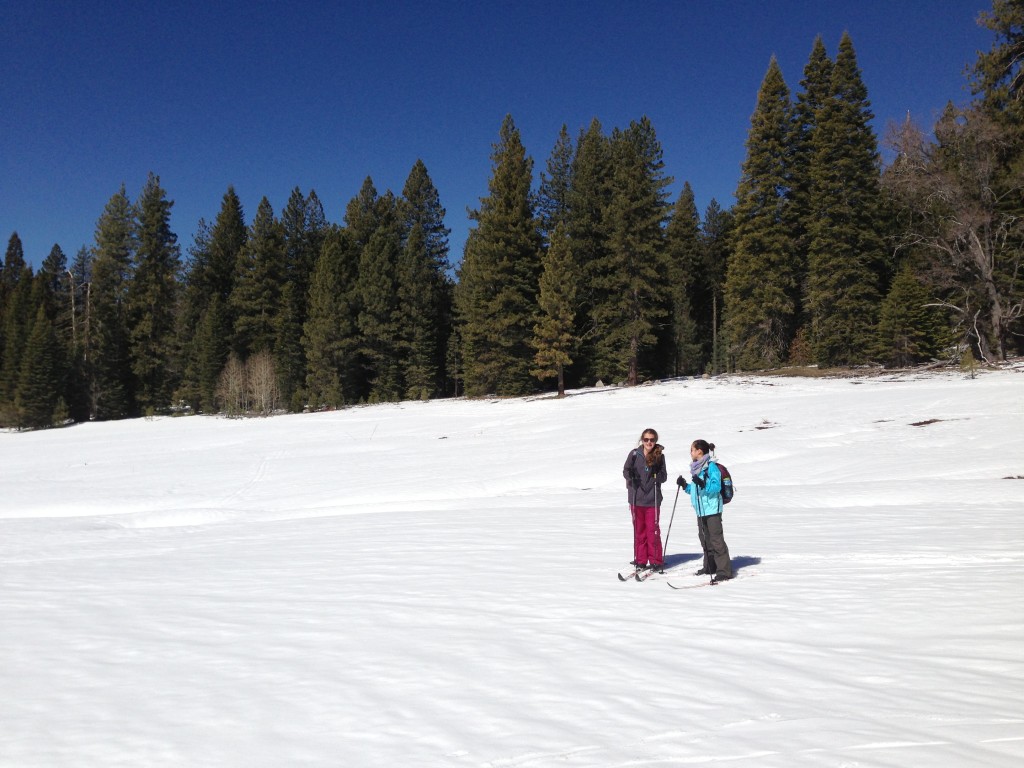 cross country ski