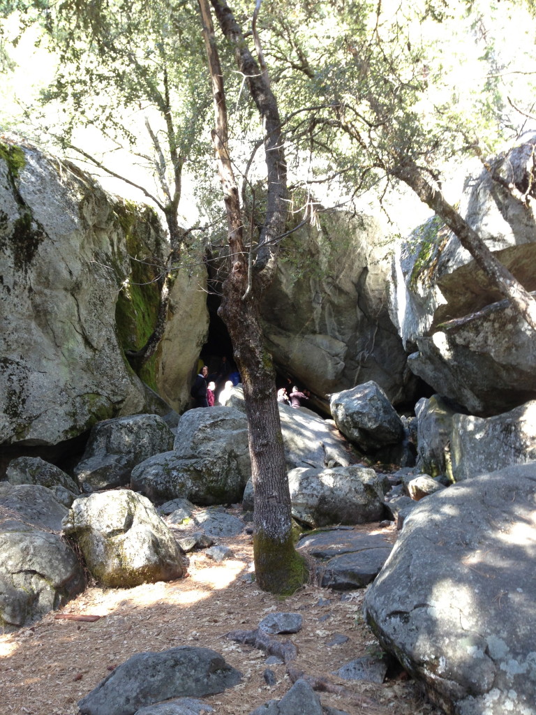 spider caves