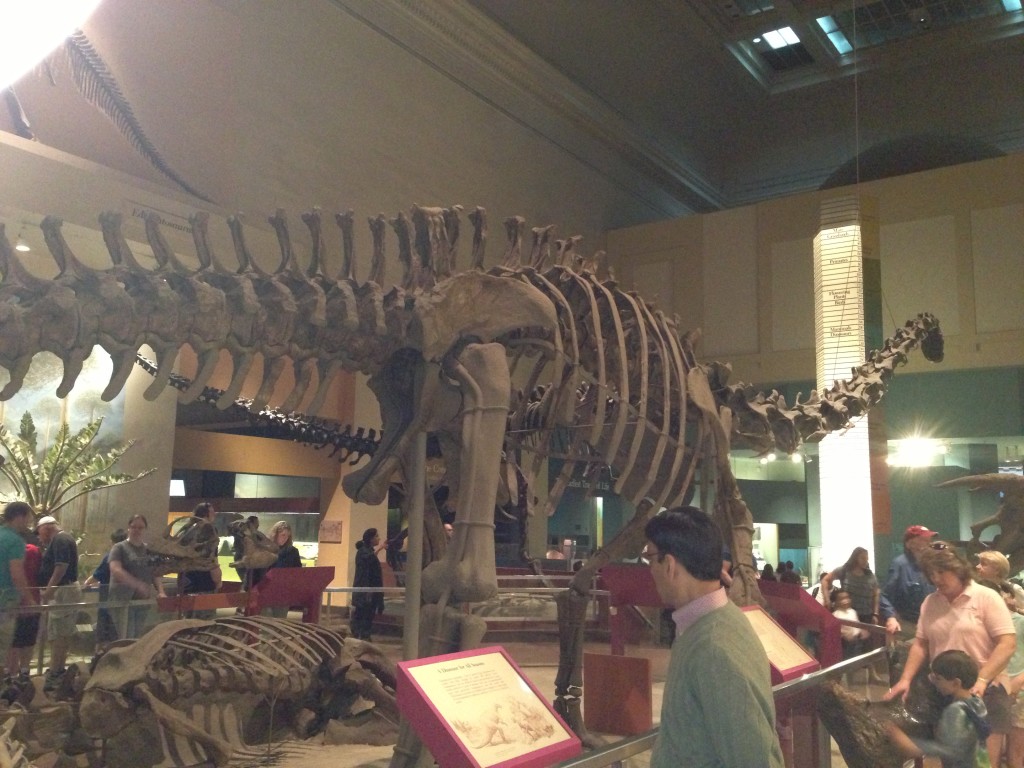 At the Museum of Natural History